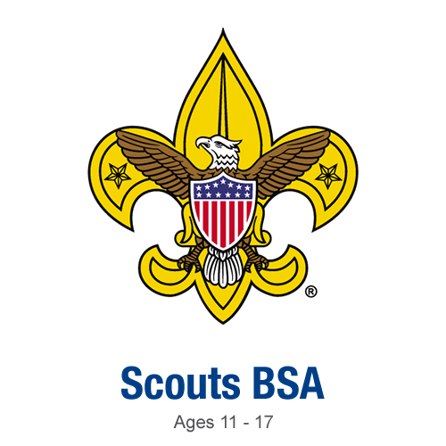 Scouts BSA square